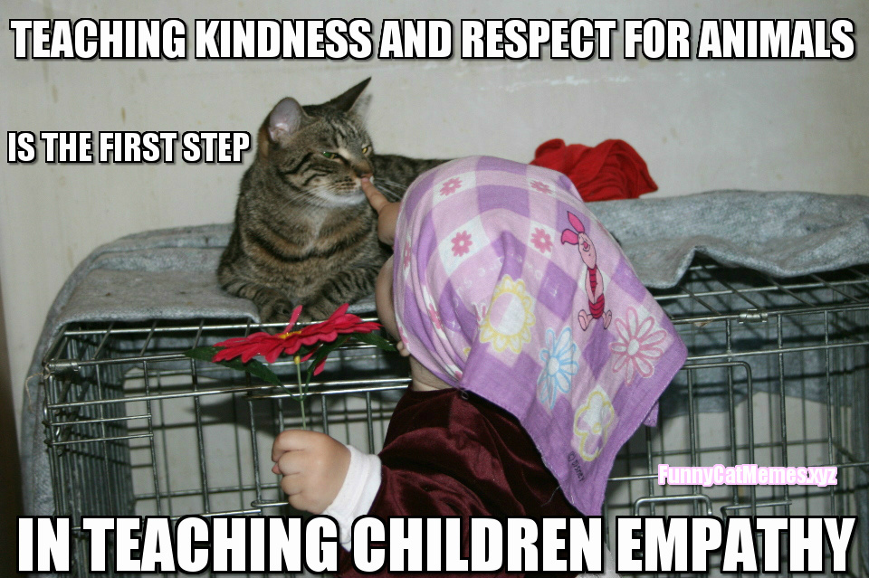 Teaching Children Kindness And Respect For Animals