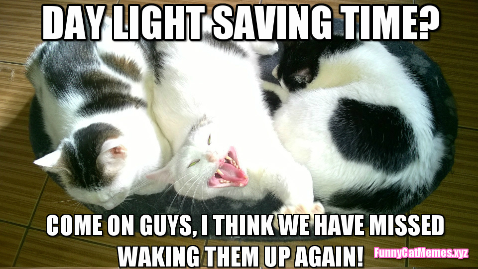 Day Light Saving Time