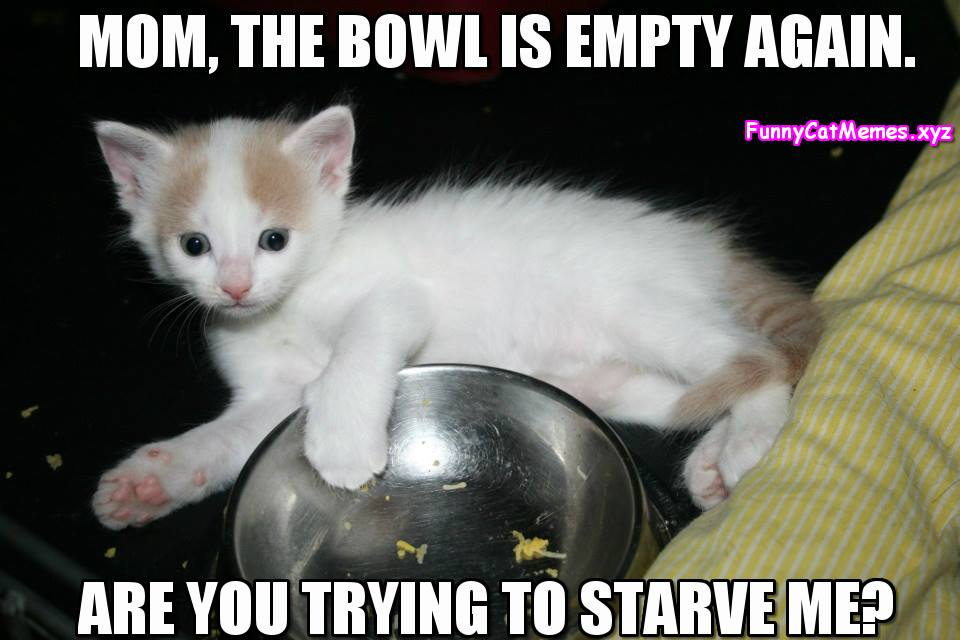 Mom, The Bowl Is Empty Again