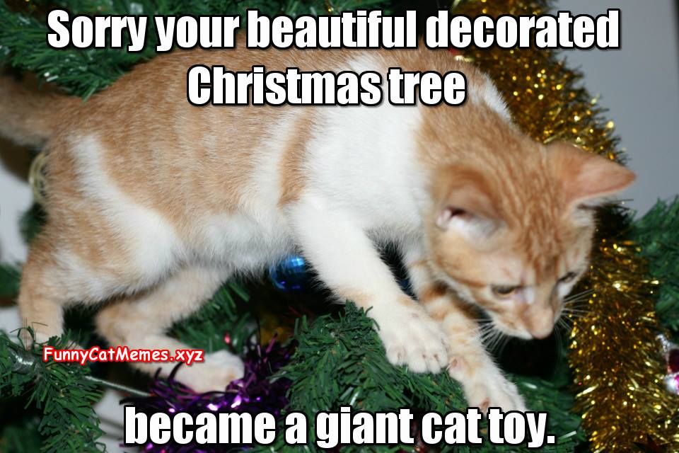 The Christmas Tree, A Giant Cat Toy