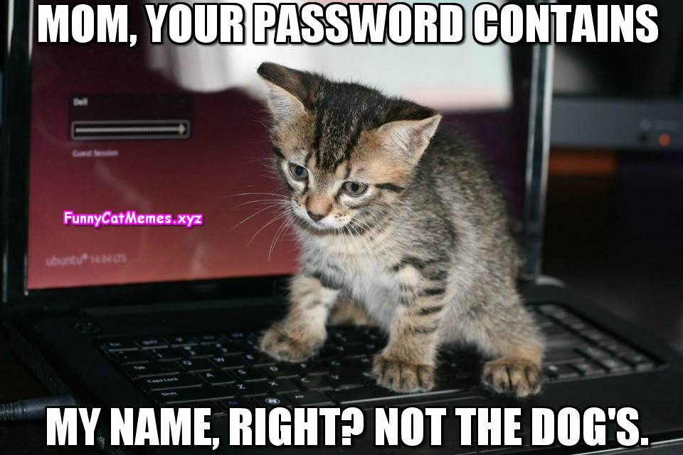 Mom, What Is Your Password