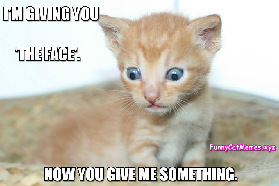 I'm Giving You The Face