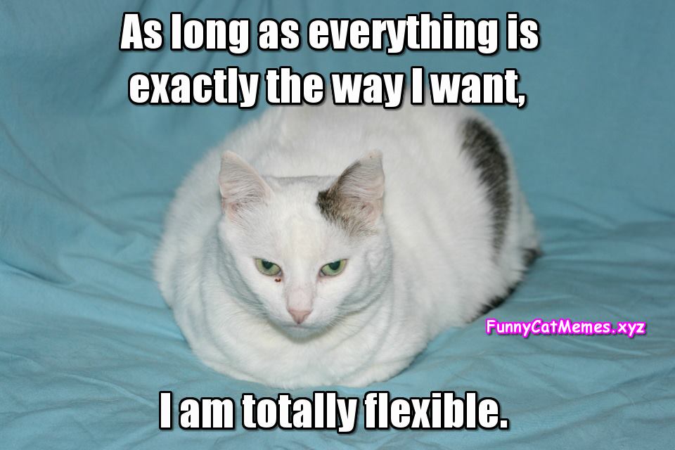 I Am Totally Flexible